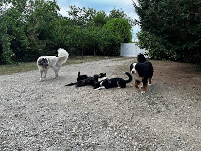 Edu'karmel - Educateur Comportementaliste Canin Et Félin, Dresseur De Chiens à Laval