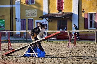 Les Terres de Laumeneel-Berger Australien, Eleveur de Chiens à Usson