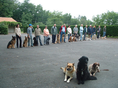 Educ'action Canine De L'argoat Dresseur De Chiens à Blois