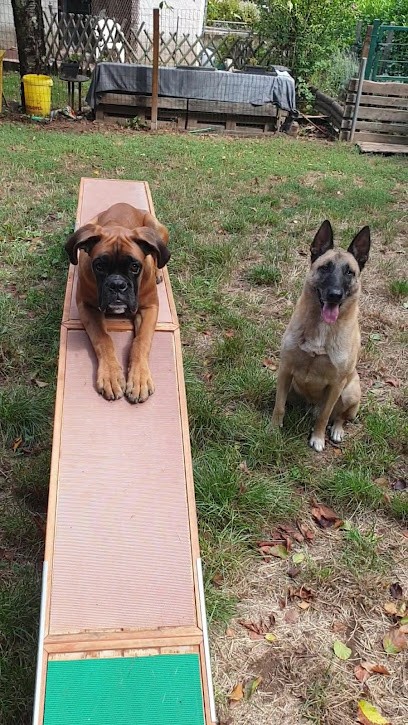 FKL education canine, Dresseur de Chiens à Bétaille