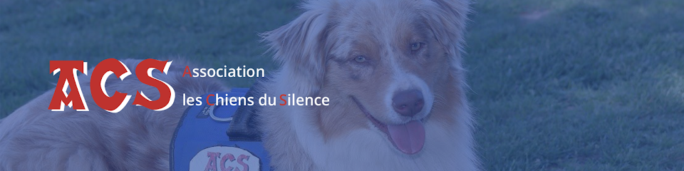 Les Chiens Du Silence, Dresseur De Chiens à Escondeaux