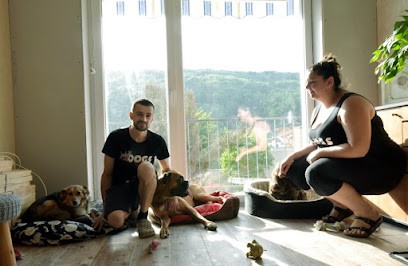 Dogs-sitter 57, Pension pour Chiens à Algrange