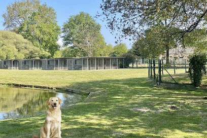 La Douce Vallée - Pension pour chien et chat, Pension pour Chiens à Vigneux-de-Bretagne