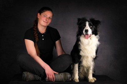 Pat'attitude - éducateur Comportementaliste Canin, Dresseur de Chiens à Rollot