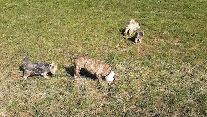 Au Domaine Des Loulous Toilettage Et Pension Canine, Pension pour Chiens à Bettendorf