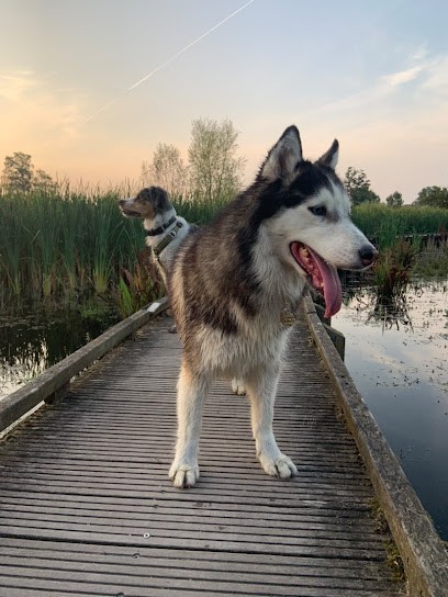 Libr'Anima - Comportementaliste Educateur Canin Et Félin, Dresseur de Chiens à Marcq-en-Baroeul
