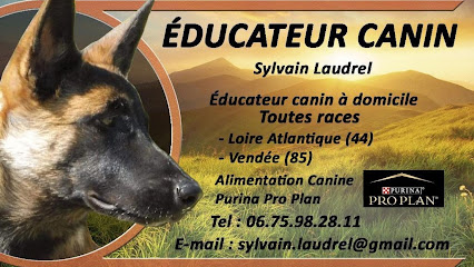 Sylvain Laudrel, Dresseur De Chiens à Pornic