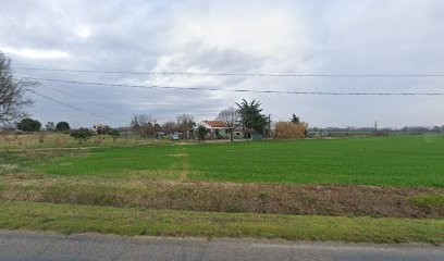 Elevage Jocker of the Queen, Eleveur de Chiens à Aimargues