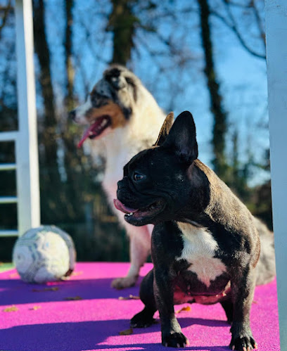 Centre Canin Shiine, Pension Pour Chien à Limoges