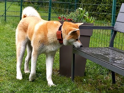 Domaine Du Mont Chokai, Eleveur de Chiens à Polaincourt-et-Clairefontaine