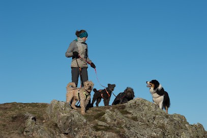 Bien avec mon chien, Pension pour Chiens à Gresswiller