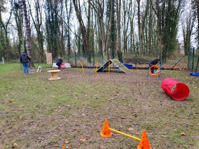 Caning Club Cambrai, Dresseur de Chiens à Proville