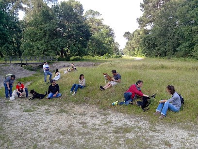 Rémi Guérin : éducateur Canin Et Comportementaliste, Dresseur de Chiens à Saint-Loubès