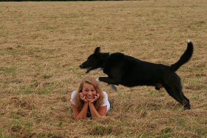 Happy Dogs and You, Dresseur de Chiens à Saint-Germain-en-Laye