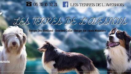Les Terres De L'Avesnois, Eleveur de Chiens à Hannapes