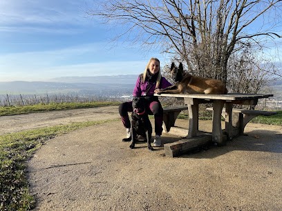 Symdog51 éducation canine, Dresseur de Chiens à Mareuil-en-Brie