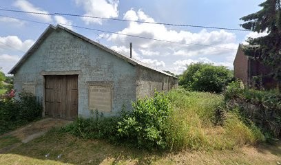 Élevage des molosses du Grand Goût, Eleveur de Chiens à Montigny-en-Cambrésis