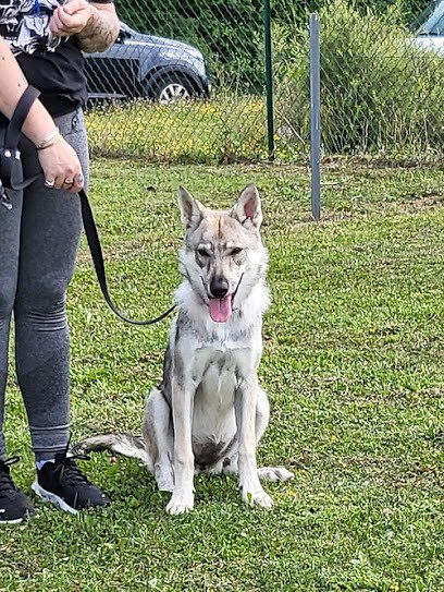 CLUB CANIN DE LANDRES, Dresseur de Chiens à Landres