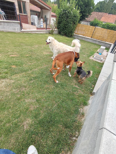 Pension Canine/Féline La Maison De Vacances Des 4 Pattes Pension Pour Chien à Ames