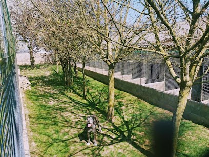 La Maison Canine & Féline, Pension pour Chiens à Bernay-en-Champagne