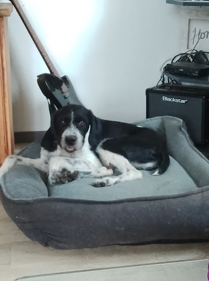 La Nounou De Vos Animaux - Nieul 87, Pension Pour Chien à Nieul