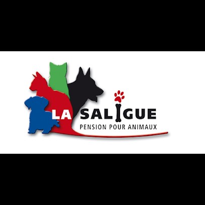 Joseph George, Pension pour Chiens à Aire-sur-l'Adour