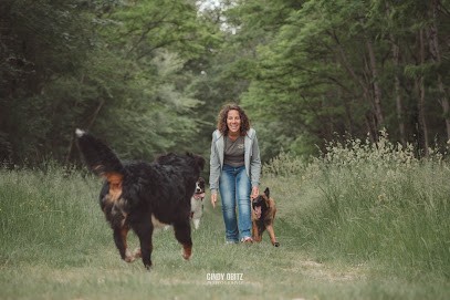 Zencanitude Intervenante en éducation et comportement canin 36, Dresseur de Chiens à Luant