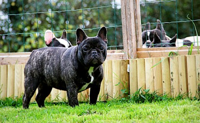 Des Boves de Vidocq, Eleveur de Chiens à Ménil-Hermei