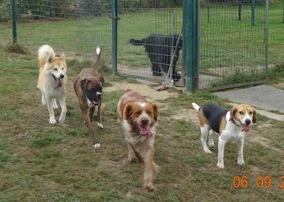 Les Prairies De Matisse, Pension pour Chiens à Busigny
