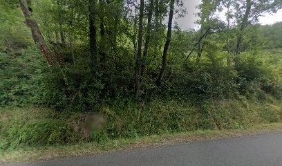 Malengreaux Nathalie, Eleveur de Chiens à Laparrouquial