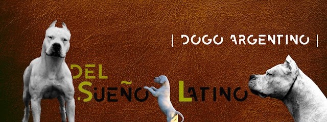 Elevage canin et pension canine Del Sueño Latino à Jans (Loire Atlantique 44), Eleveur de Chiens à Jans