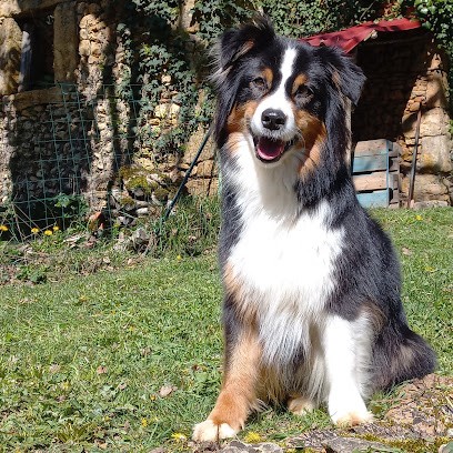 Can'idée, Dresseur de Chiens à Vitrac