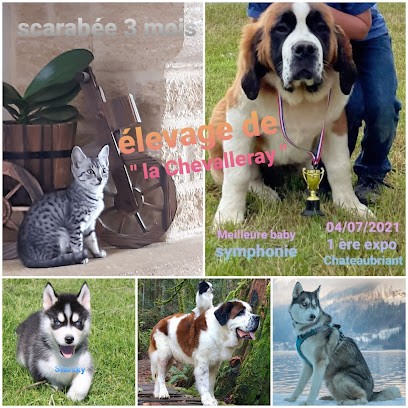 Elevages De La Ferme Kergaval Et Pension Canine, Eleveur de Chiens à Bédée