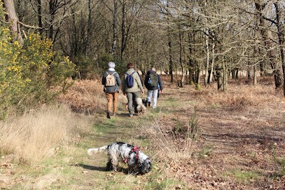 Happy Dogs Therapy - Educateur, comportementaliste et masseur canin (SECTEUR MONTENEUF ET ENVIRONS), Dresseur de Chiens à Saint-Nicolas-du-Tertre