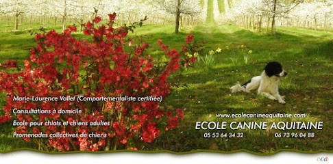 Comportementaliste École de Chiens d'Aquitaine, Dresseur de Chiens à Puymiclan