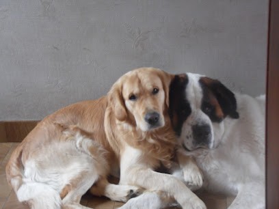 La Villa des katpat, Pension pour Chiens à Châtillon-sur-Cher