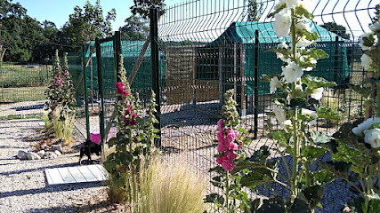 Pension Canine Du Grand Langeron, Pension Pour Chien à Agonges