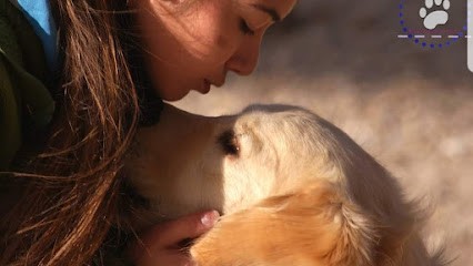 Solyne BECAS Éducateur canin, Dresseur de Chiens au Bourget-du-Lac