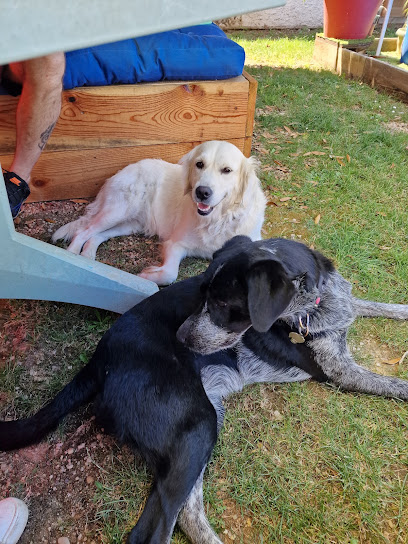 Pradin'os Pension Pour Chien à Pradines