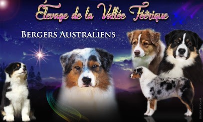 Elevage de la Vallée Féérique, Eleveur de Chiens à Verosvres