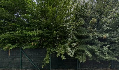 Elevage d'American Staffordshire Terrier et Furets : Le domaine aux 12 belles Pattes, Eleveur de Chiens à Valady