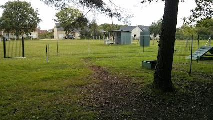 Le Club Canin Berruyer, Dresseur de Chiens au Subdray