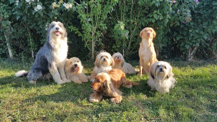 Accueil Can'Ain, Pension pour Chiens à Garnerans