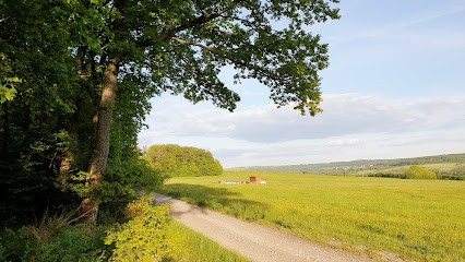 L'Écolo Canine, Pension pour Chiens à Siltzheim