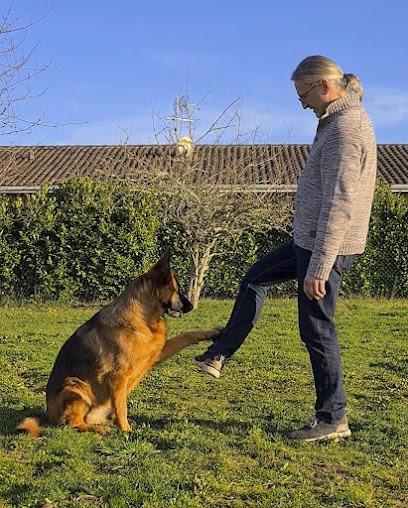 Educ ton chien éducateur canin Landes Gers Centre de formation prévention des risques canin et langage canin, Dresseur de Chiens à Pujo-le-Plan