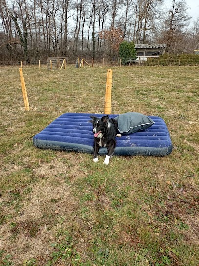 Club Canin Pommiérois, Dresseur de Chiens à Pommier-de-Beaurepaire
