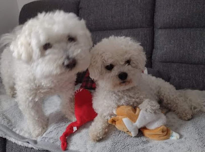 La Pension De Osi & Co, Pension Pour Chien à Illfurth