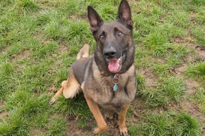 Pension de la Bresse (pension Canine), Pension pour Chiens à Saint-Cyr-sur-Menthon