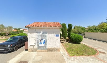 NORDIC ICE PEARL : Élevage De Siberian Husky, Eleveur de Chiens à Rivesaltes