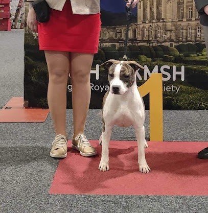 Thoresteel, Eleveur de Chiens à Cagnotte